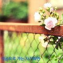하늘바람 Daum카페