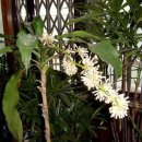 강산회 이미지