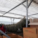 마니농장 이미지