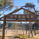 마애선사유적전시관 이미지