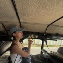 토토헤어 | 직장인 밤비행기로 3박 5일 프리다이빙 여행(발리카삭 거북이/보홀랩 스냅사진/토토에페피노 피자/툭툭이)