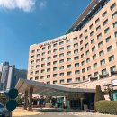 금강대중탕 | 부산 동래 온천 5성급 호텔 농심 슈페리어스위트 더블 후기 전 객실에서 온천욕 가능한 가족탕 숙소