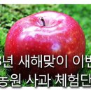 볼빨간 농원 이미지