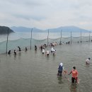 룡대미어촌체험휴양마을 이미지