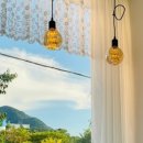 폼폼애견 이미지