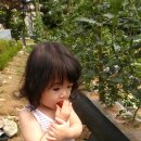 혜인농장 이미지