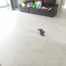 편하지오플러스