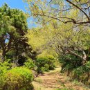 수림농장 이미지