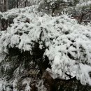 건축사사무소 신비 이미지