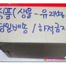 쭈's