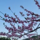 (주)힐링팜 이미지