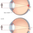 글라스365안경원 이미지