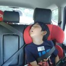 롯데백화점 평촌점 이미지