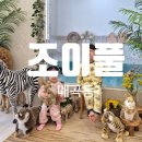 풀스테이 조이풀8 | [광주 북구]광주 매곡동 조이풀/매곡동 아이랑 키즈카페 / 단독대관 조이풀 키즈풀 A룸 내돈내산 방문후기