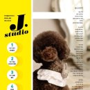 도로시 퍼피 이미지