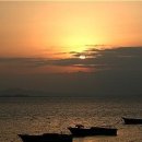 무 진 정 이미지