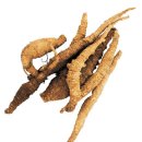 웰빙라이프 이미지