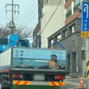 바름카서비스 | [국내] 5박 6일 제주도 힐링 여행 2편(하버호텔, 명랑스낵, 우도, 유채꽃, 숙자네숟가락젓가락, 성산...