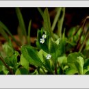 하늘담다 이미지