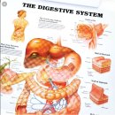 구침가한의원 이미지