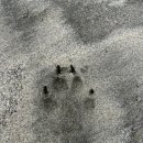 커피이즈 이미지