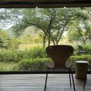 돌골 새마을교 | 딱복이 임신기록(33주~34주)