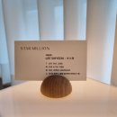 개스타 살롱 이미지