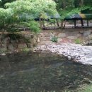 늘소나무산장 이미지