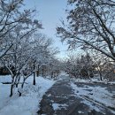 수레의산자연휴양림 이미지