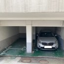 비바동물병원 이미지