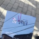 골목 속 갤러리 투어, 성북동길 로컬 스냅 투어 프로그램 후기💫 (with 프리즈미)