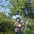 산빛마당 민박 이미지