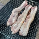 치산관광지 캠핑장 | 영천 치산관광지 캠핑장 6인용 카라반 후기