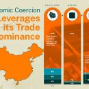 경제적 강압: 무역에서 중국의 지렛대 이미지