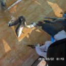 파주민물 이미지