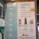 멍이와쿤이 이미지