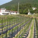 남해송정황토펜션 이미지