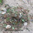 판암유치원 이미지