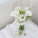 카라flower 이미지