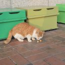 (12/23)크리스마스 홈파티_밀크티 클래스 | [일기] 2025년 12월 일기