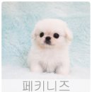 올망졸망 이미지
