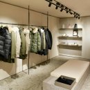 스테이 이브 이미지