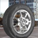 스피드메이트 달구벌점 이미지