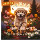 개린이보호구역 이미지