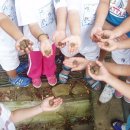 선학어린이집 이미지