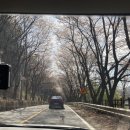 수풀로 삼회리 네이버블로그