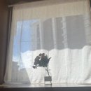 솔빛모텔 이미지