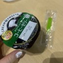 훈민타워 | 또 쿄 ! (후지산투어, 디즈니랜드)