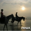 명사십리축산 이미지