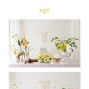데이바이데이스튜디오 이미지